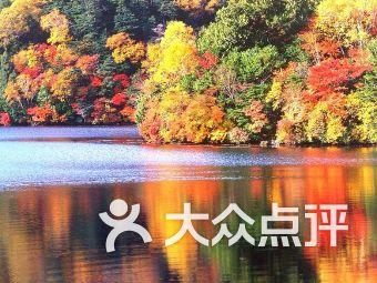 两会好声音︱田学华代表:如果未来应用高速磁浮,青岛到上海只需一个半小时